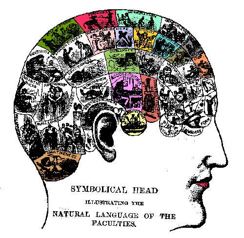 [phrenology picture]